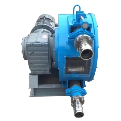 Elektrische Mini-Dc 12v 100w Benzinöl-Flüssigkeitsaussaugpumpe für die Übertragung von Motor-Vakuum mit Schläuche