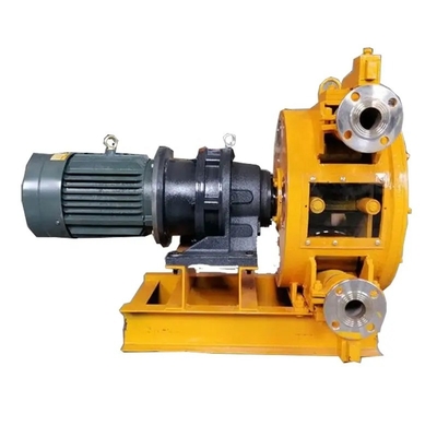 Elektrische Mini-Dc 12v 100w Benzinöl-Flüssigkeitsaussaugpumpe für die Übertragung von Motor-Vakuum mit Schläuche